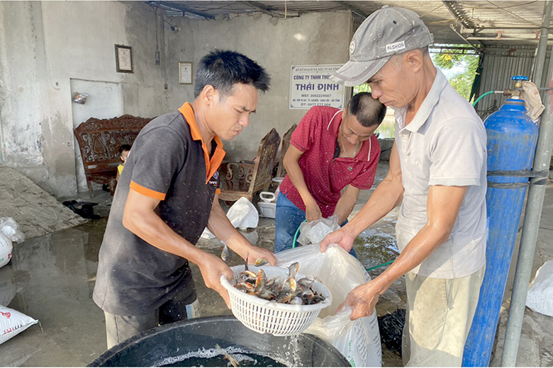 hinh 20 anh dinh giua tat bat cung ung ca gong