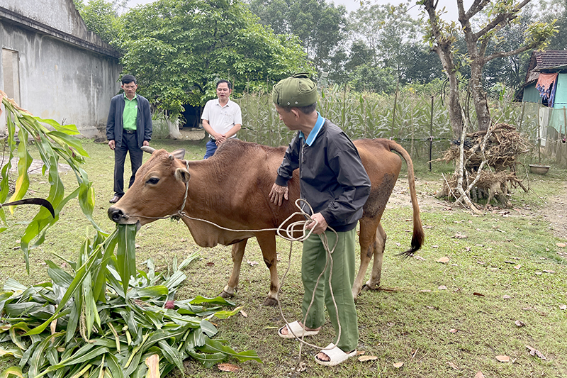 hinh 1ong minh cham soc bo