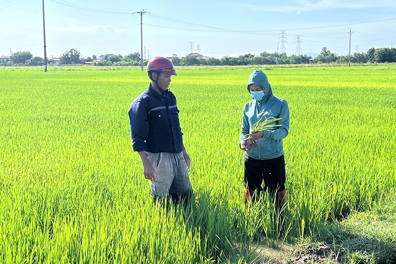 hinh 1 3
