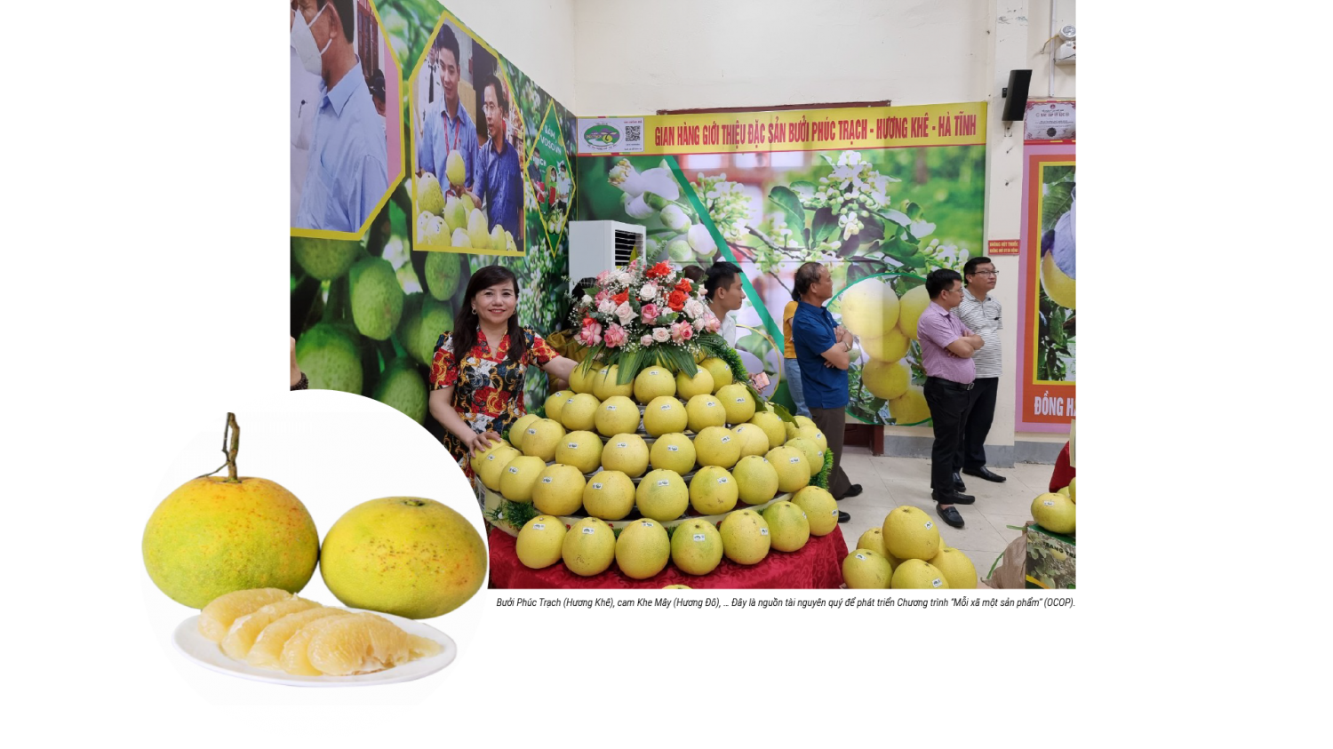 ha tinh ocop gan loi the vung mien nang tam gia tri nong thon 68e475f65c33f