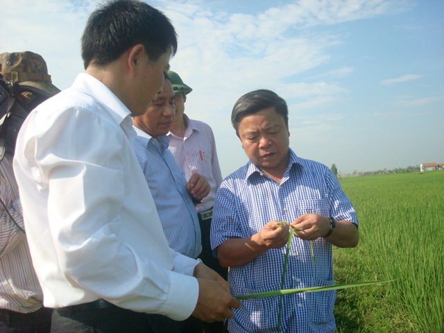 Đức Tho: Chú trọng nâng cao chất lượng  quy hoạch nông thôn mới
